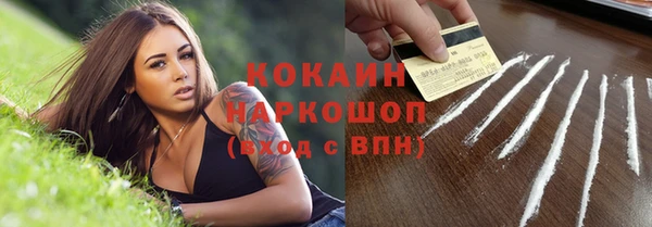 PSILOCYBIN Лагань