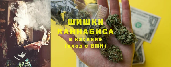 шишки Лабытнанги