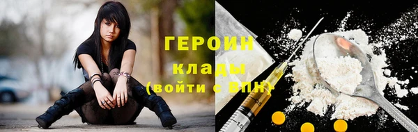 шишки Лабытнанги