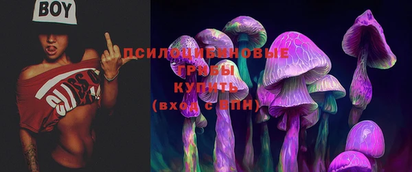 кокаин перу Ладушкин