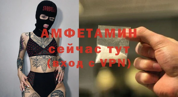 шишки Лабытнанги