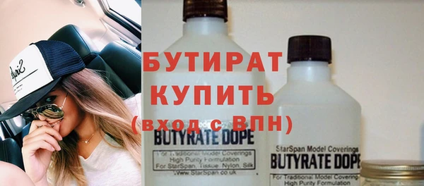 шишки Лабытнанги