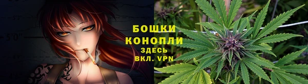 шишки Лабытнанги