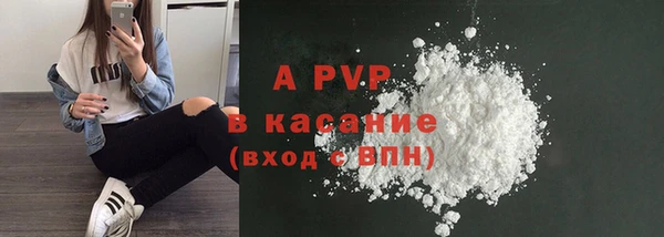 гидра Няндома