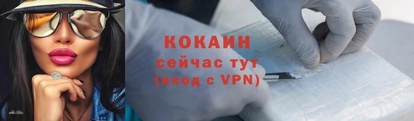 2c-b Снежногорск