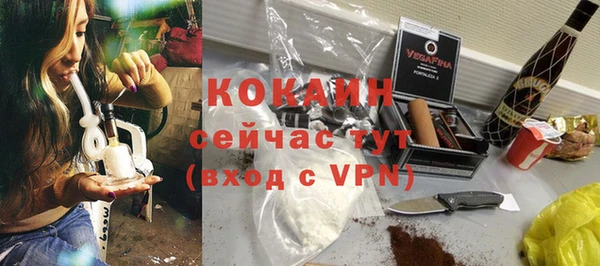 шишки Лабытнанги