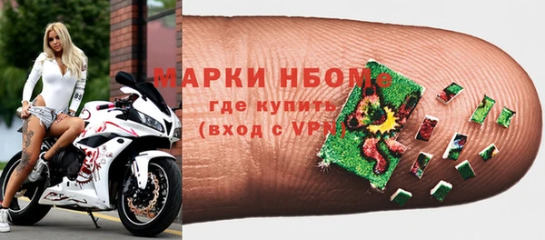 шишки Лабытнанги