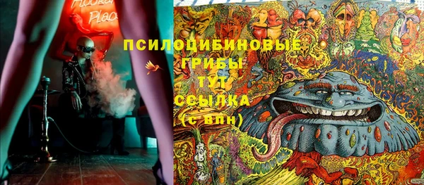 apvp Нягань