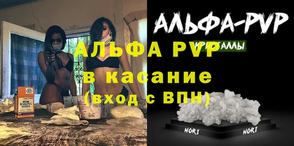 шишки Лабытнанги