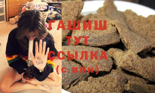 шишки Лабытнанги