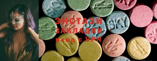 шишки Лабытнанги