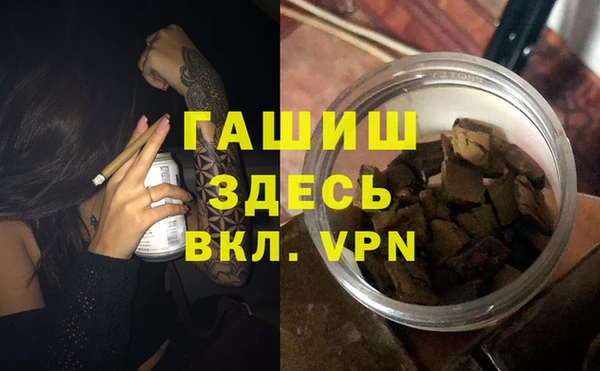 шишки Лабытнанги