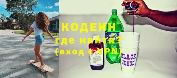 шишки Лабытнанги
