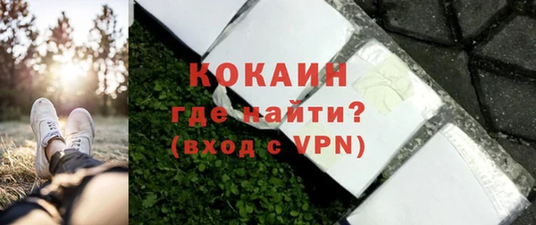 PSILOCYBIN Лагань