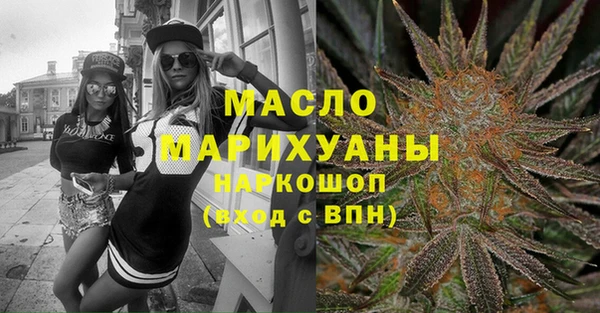 шишки Лабытнанги