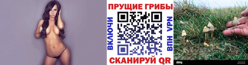 Галлюциногенные грибы GOLDEN TEACHER  Альметьевск 