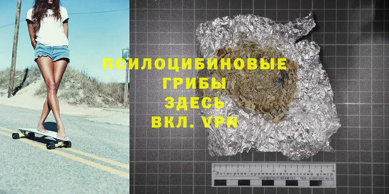 Галлюциногенные грибы Psilocybine cubensis  кракен ССЫЛКА  Альметьевск 