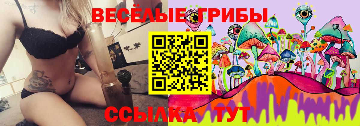 Галлюциногенные грибы MAGIC MUSHROOMS  Альметьевск 