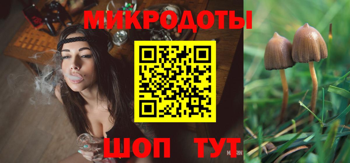 Псилоцибиновые грибы GOLDEN TEACHER Альметьевск