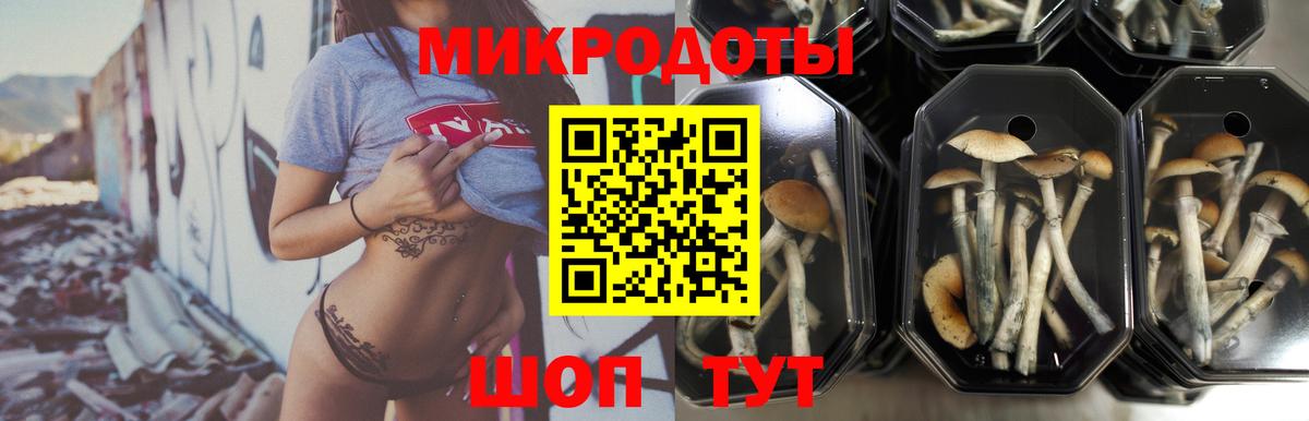 продажа наркотиков  Галлюциногенные грибы Cubensis  Вход с VPN  Альметьевск 