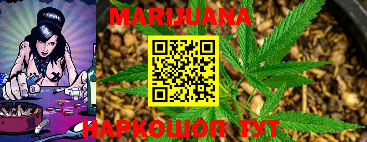 Конопля гибрид Альметьевск